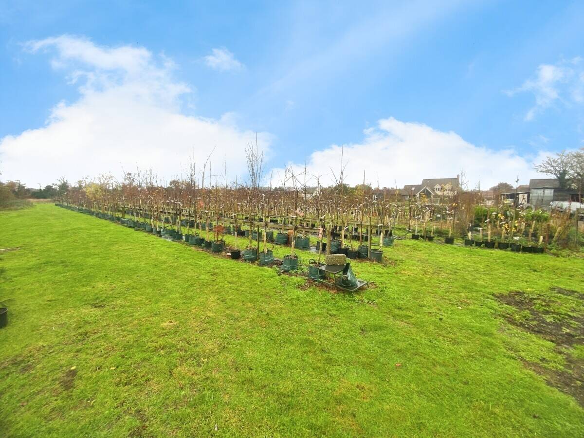 Tree Nursery Business for Sale in Sudbury, Suffolk with Online Sales Opportunity Photo 1