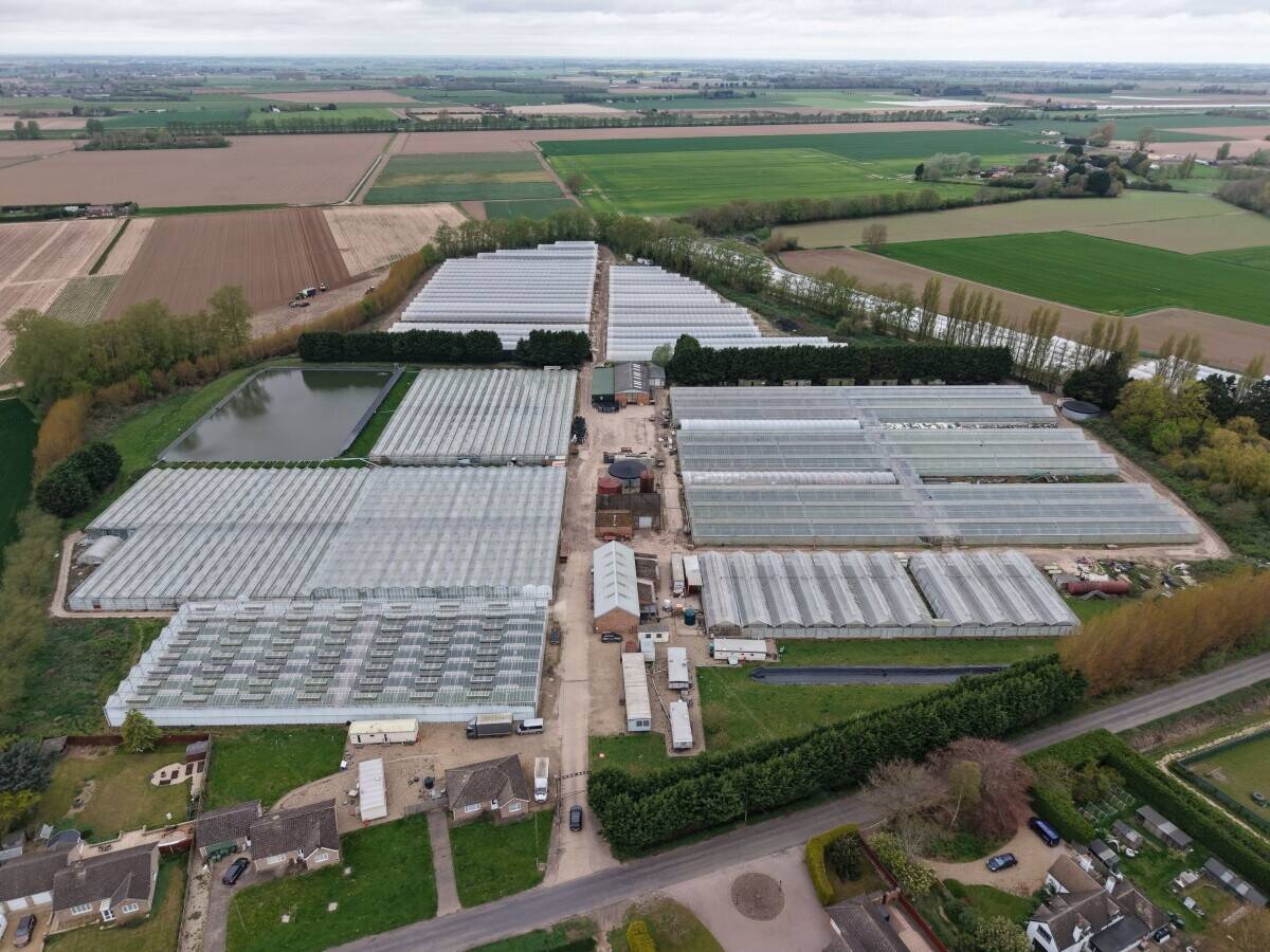 Freehold Horticultural Nursery and Distribution Facility in Wisbech Cambridgeshire Photo 1