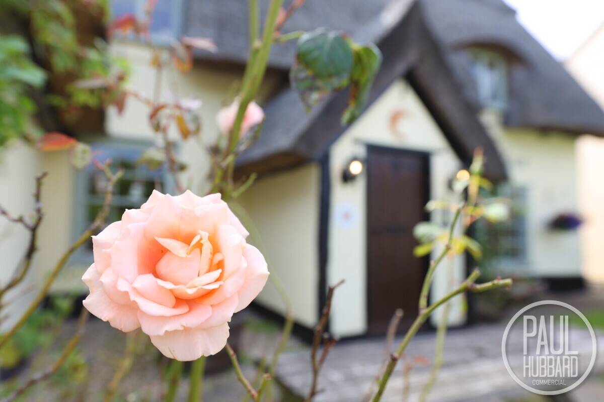 Grade II Listed Pub with Private Accommodation in Belchamp St Paul, Essex for Sale Photo 10