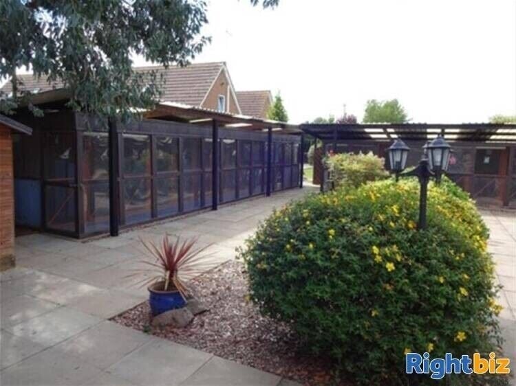 5-Bedroom Family Home with Luxury Cattery in Cambridgeshire, Ideal for Development Photo 10