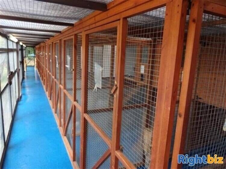 5-Bedroom Family Home with Luxury Cattery in Cambridgeshire, Ideal for Development Photo 11