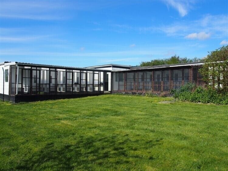 Outstanding Residence & Kennel Business Opportunity in Ferryhill County Durham Photo 12