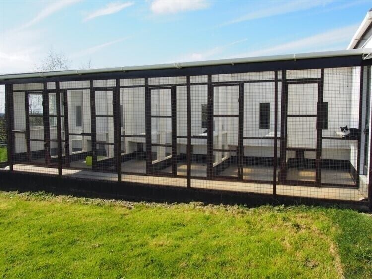 Outstanding Residence & Kennel Business Opportunity in Ferryhill County Durham Photo 14