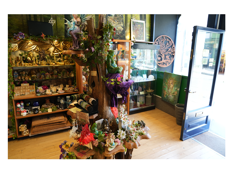 Charming Gift Shop Wildwood in Glastonbury Somerset Up for Sale Photo 2