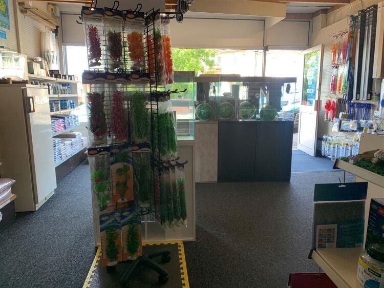 Ground floor retail space in Bristol with 744 sq ft, storage, WC, and garage facilities available Photo 2