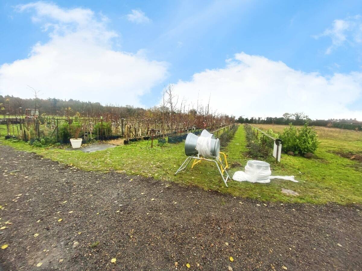 Tree Nursery Business for Sale in Sudbury, Suffolk with Online Sales Opportunity Photo 2