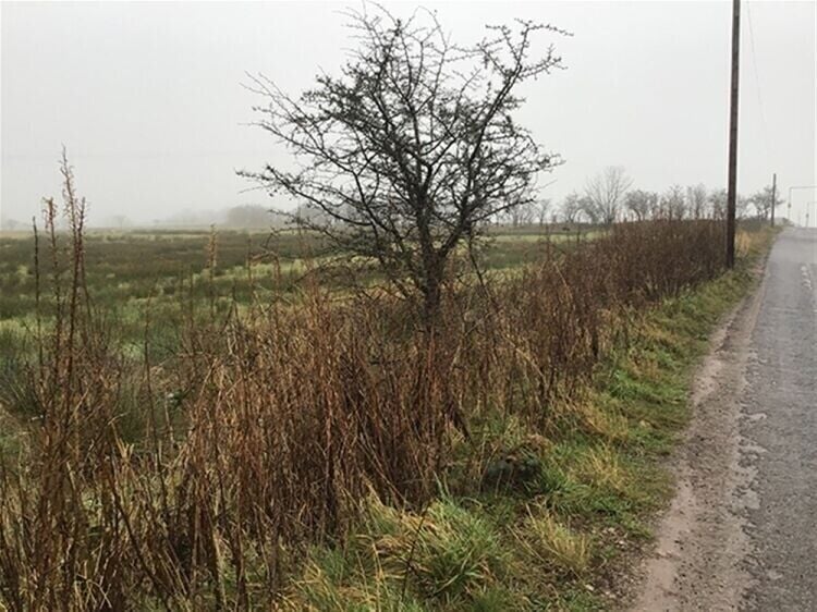 Potential Residential Development, 5-6 Acres of Land for Sale in Rural Cumbria Photo 2