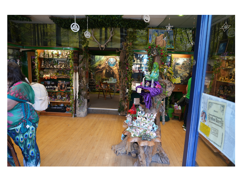Charming Gift Shop Wildwood in Glastonbury Somerset Up for Sale Photo 3