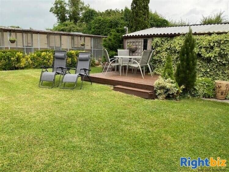 Spacious Four-Bedroom House with Profitable Kennel and Cattery Business in Buckinghamshire Photo 3