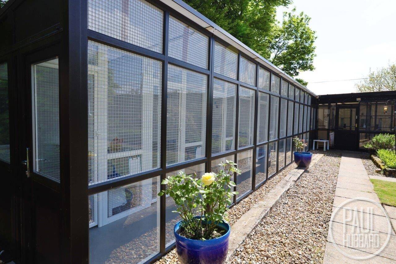 Profitable Award-Winning Cattery with Grade II Listed House and Annexe on a 1-Acre Norfolk Property Photo 4
