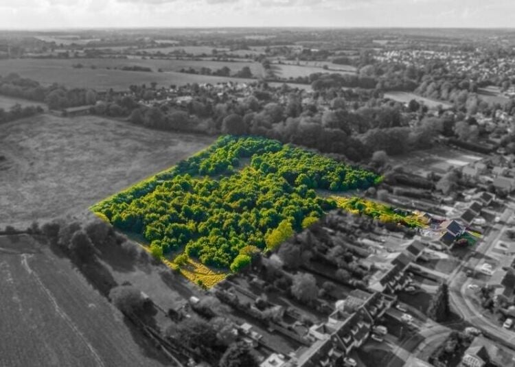 Prime Development Land in Colchester, Essex - Ideal for Over 55s Housing and Care Home Photo 4