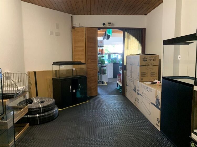 Ground floor retail space in Bristol with 744 sq ft, storage, WC, and garage facilities available Photo 4