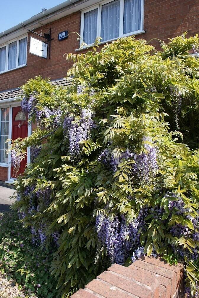 Cattery and Home for Sale in Tipton, West Midlands with Spacious Living Quarters Photo 4