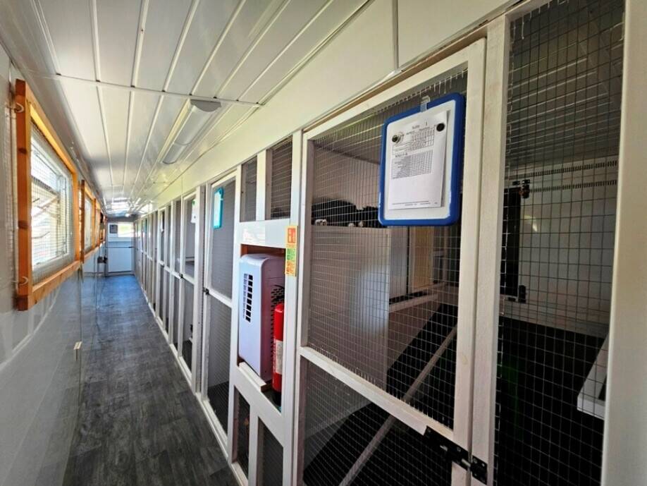 Luxury Cattery and Family Home Available in Colchester Essex Photo 4