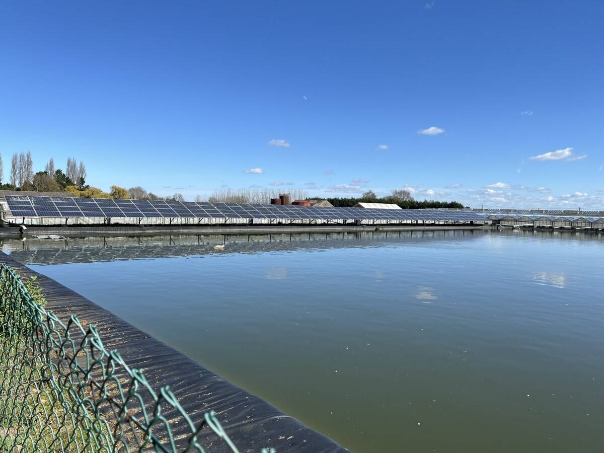 Freehold Horticultural Nursery and Distribution Facility in Wisbech Cambridgeshire Photo 4