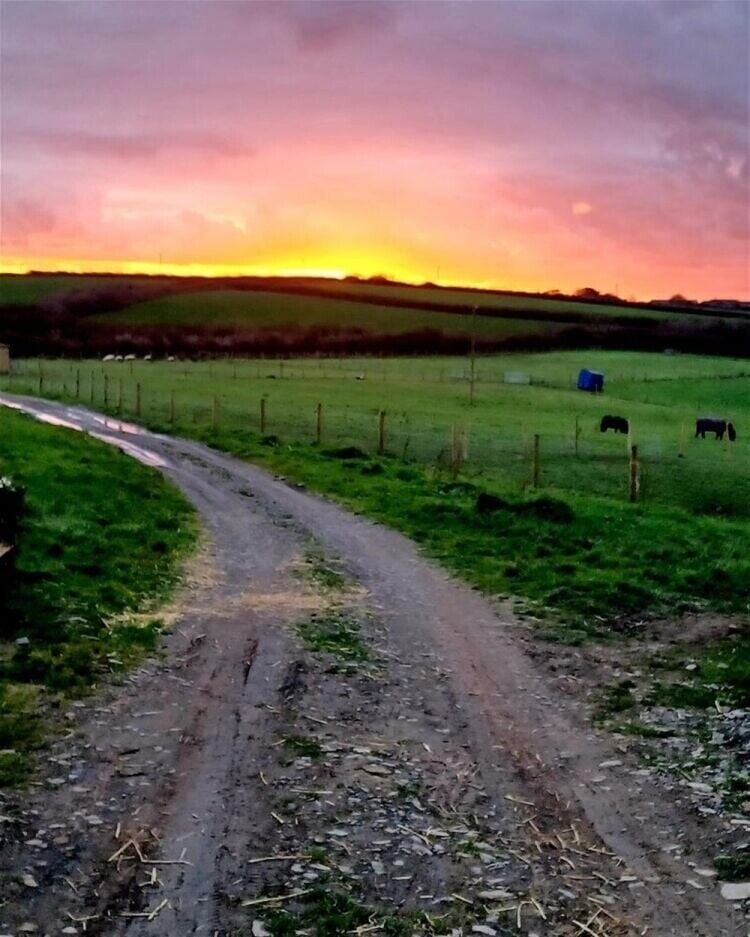 Bideford Freehold Land of 59.72 Acres with Countryside Stewardship Agreement For Sale Photo 4