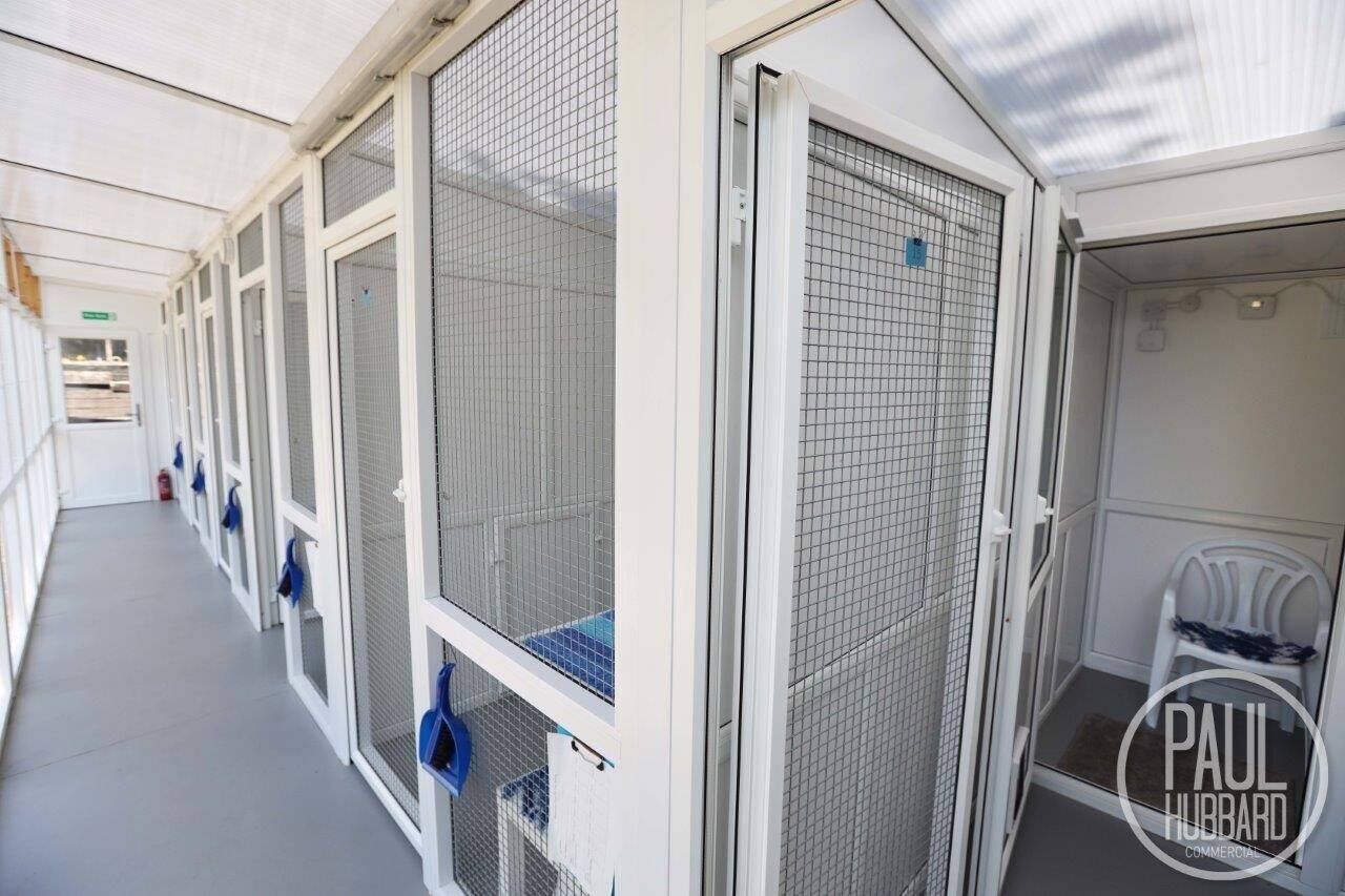 Profitable Award-Winning Cattery with Grade II Listed House and Annexe on a 1-Acre Norfolk Property Photo 5