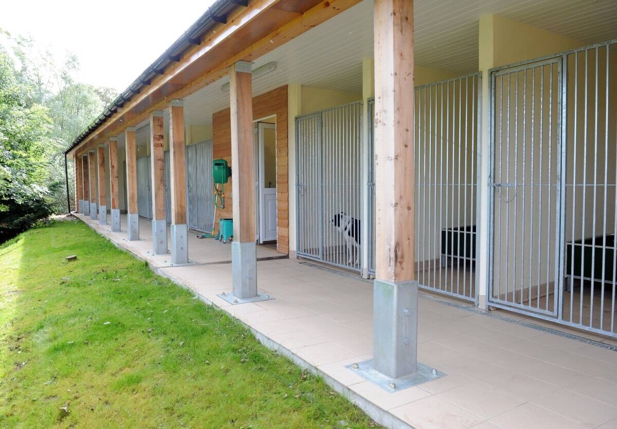 Charming 3-Bedroom Granite House with Advanced Kennel Facility in Lumphanan Aberdeenshire Photo 5