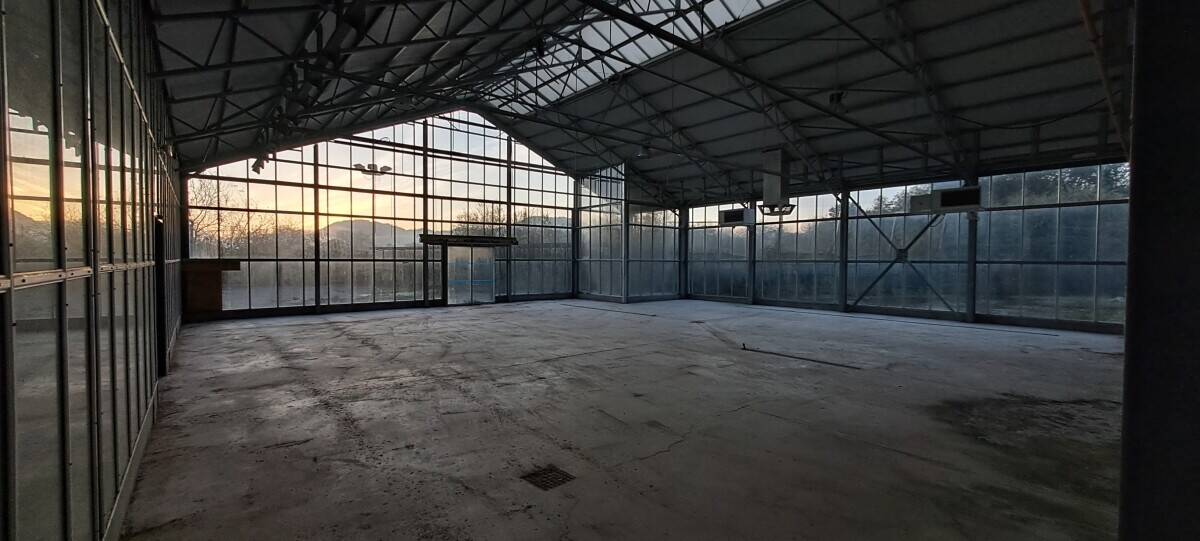 Prime 2300m2 Garden Center in North Spain's San Sebastian, Ready for Your Business Venture Photo 5