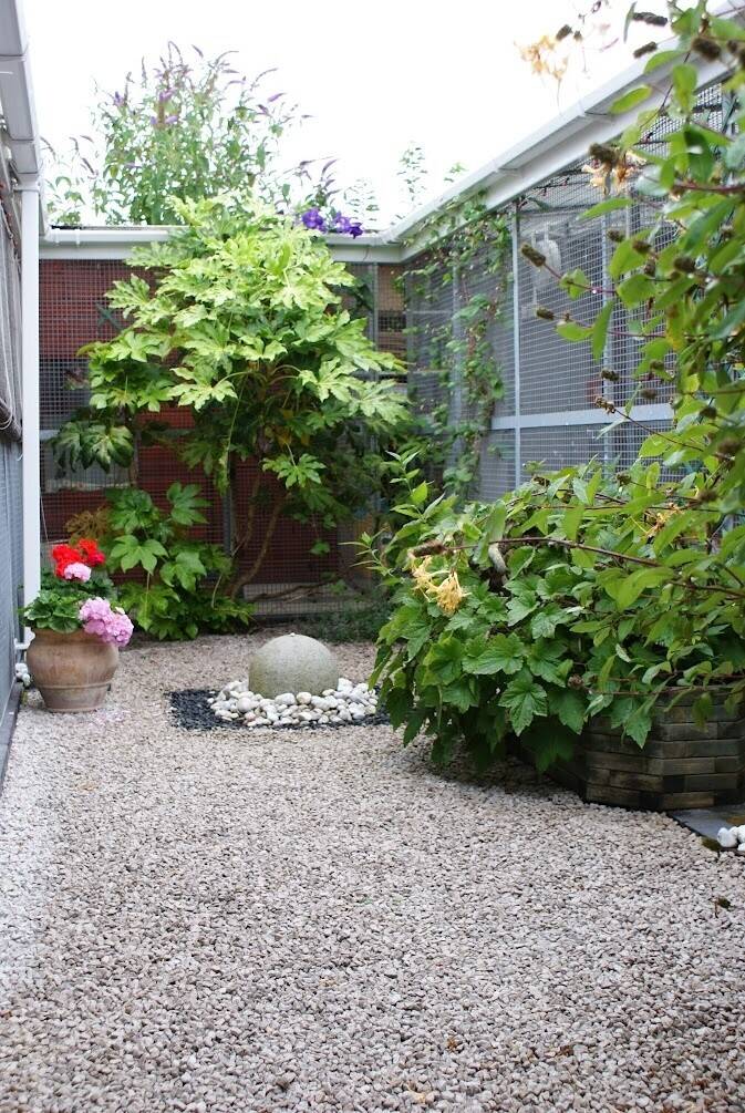 Cattery and Home for Sale in Tipton, West Midlands with Spacious Living Quarters Photo 5