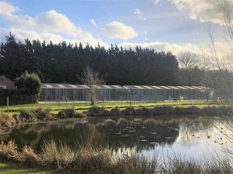 3-Bedroom Bungalow and Licensed Boarding Kennels & Cattery in Scenic Lincolnshire Photo 5
