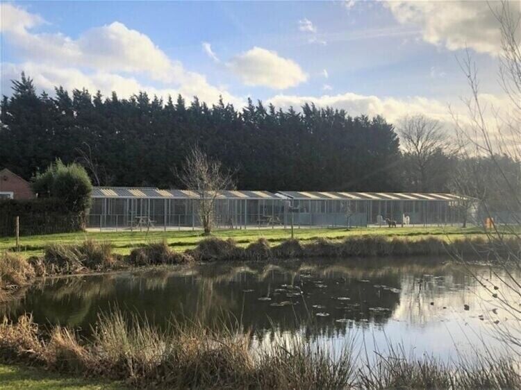 3-Bedroom Bungalow and Licensed Boarding Kennels & Cattery in Scenic Lincolnshire Photo 5