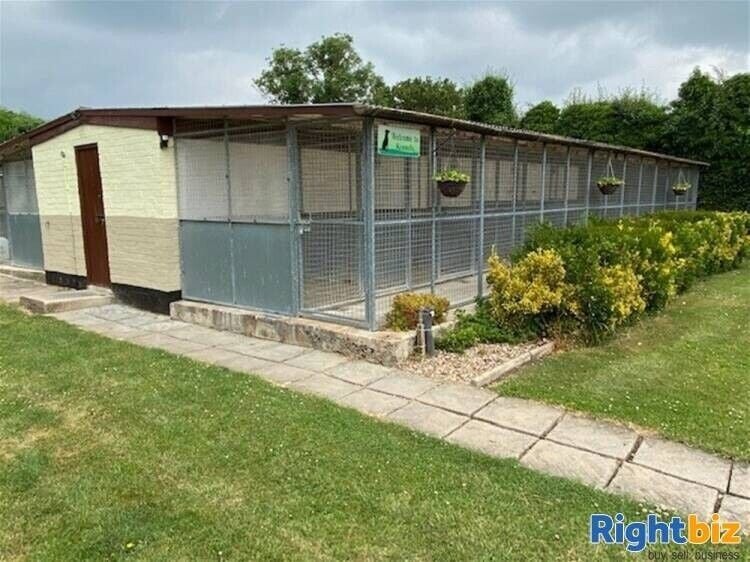 Spacious Four-Bedroom House with Profitable Kennel and Cattery Business in Buckinghamshire Photo 5