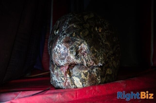 Dragon Commercial Panic Room for Sale, Good Condition, Easily Relocatable Photo 5
