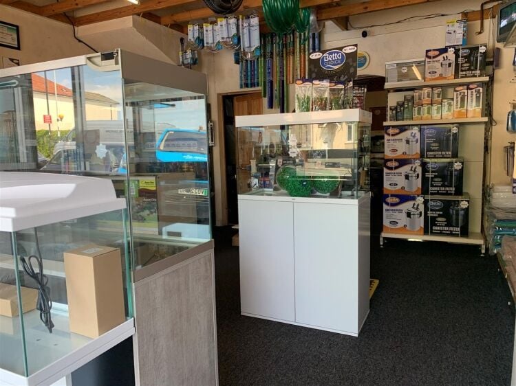 Ground floor retail space in Bristol with 744 sq ft, storage, WC, and garage facilities available Photo 7