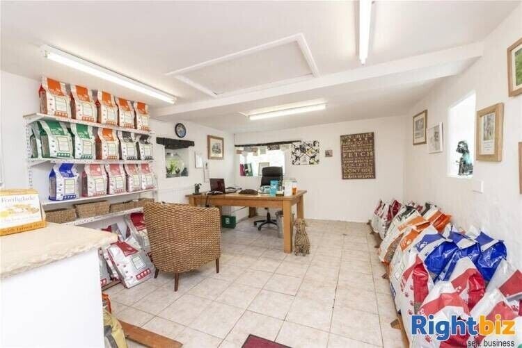 Charming 5 Bedroom Property with Licensed Kennels, Cattery and 12 Acres in Somerset Photo 7