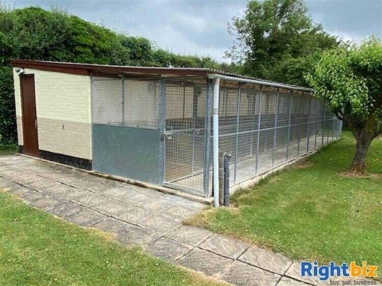 Spacious Four-Bedroom House with Profitable Kennel and Cattery Business in Buckinghamshire Photo 9