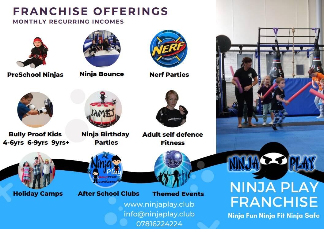NinjaPlay - Martial Arts School Logo