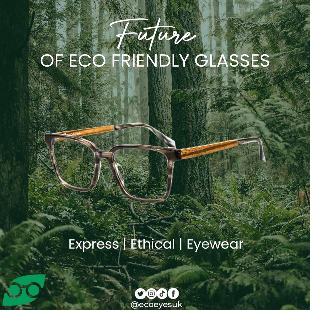 Ecoeyes Optical Franchise Logo