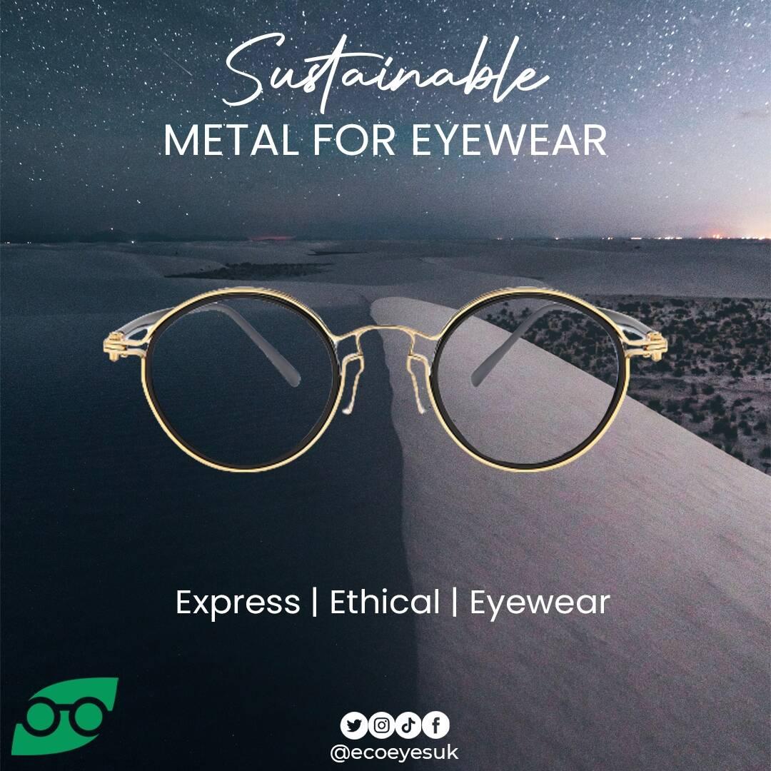 Ecoeyes Optical Franchise Logo