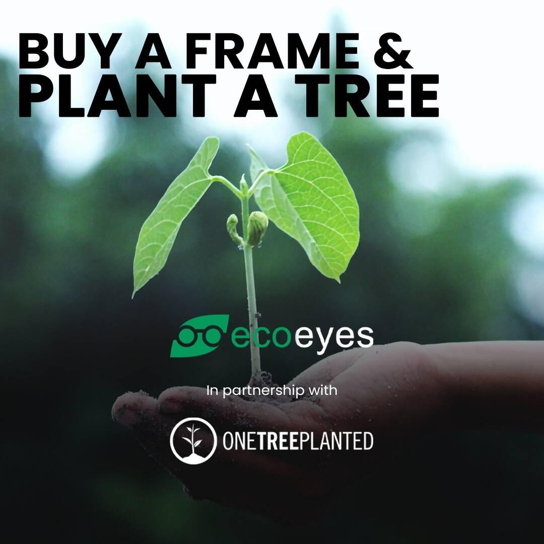 Ecoeyes Optical Franchise Logo