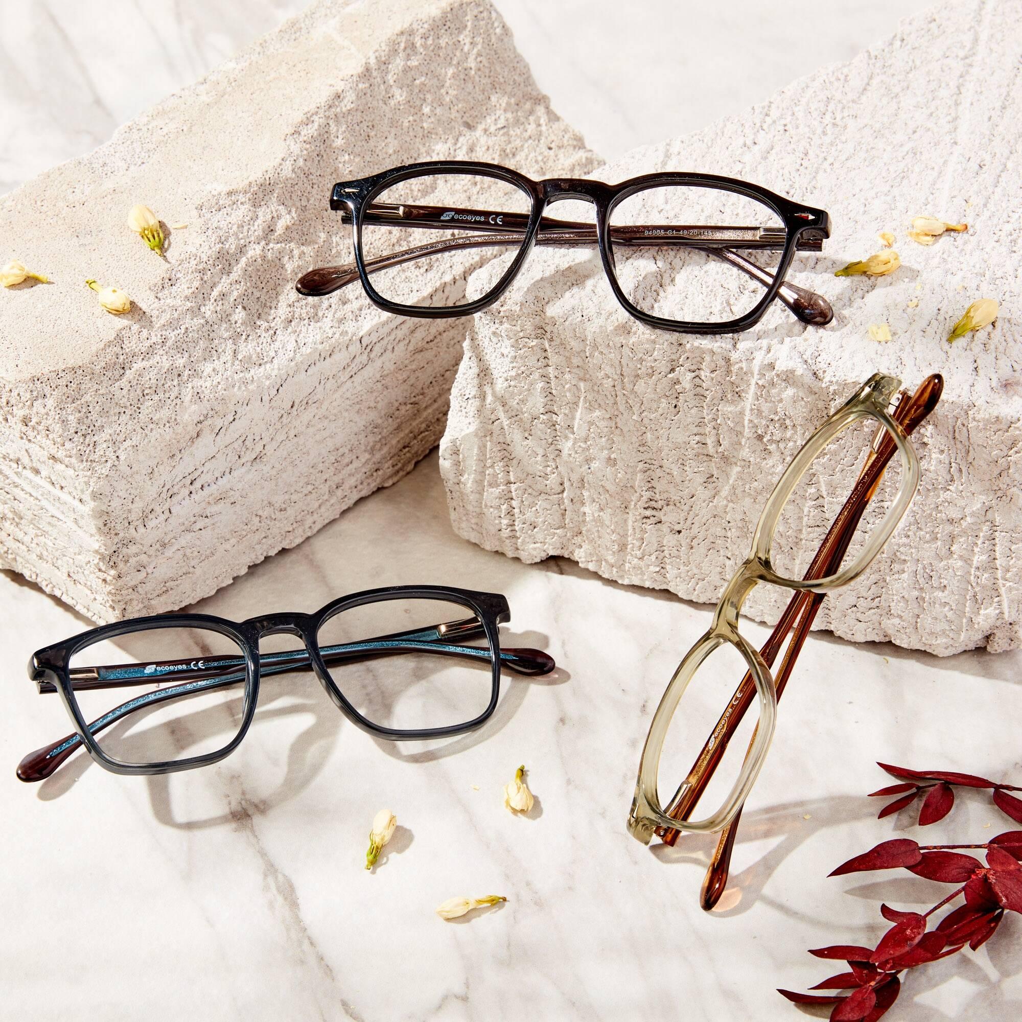 Ecoeyes Optical Franchise Logo