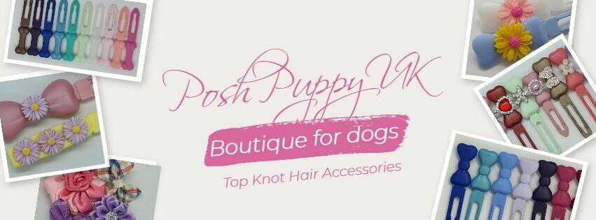 Online Pet Shop - Work from home