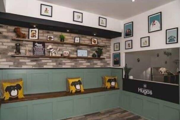 Established dog grooming parlour in Sheffield  Photo 1