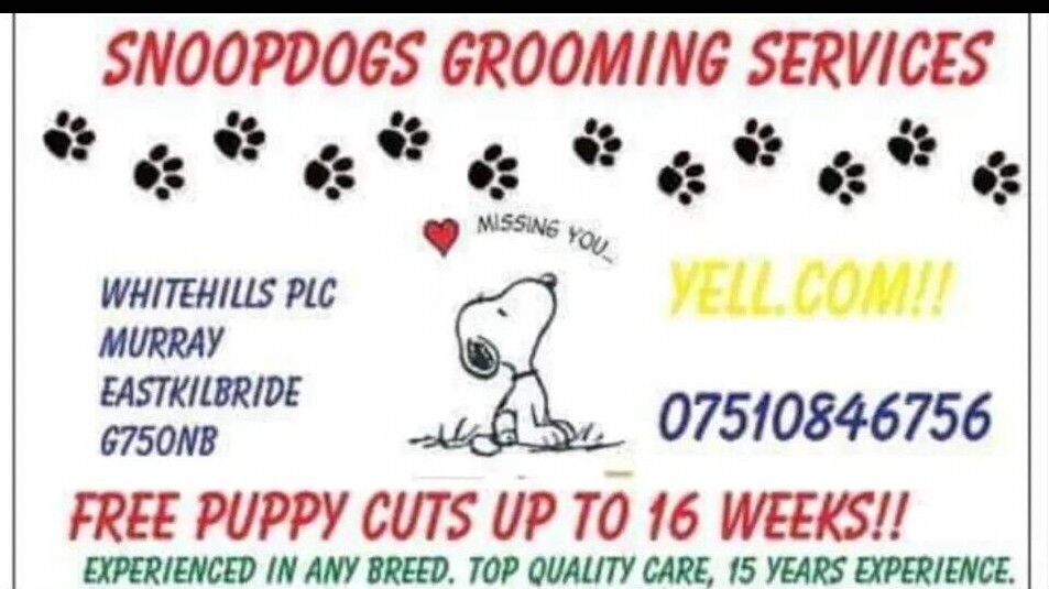 Dog grooming salon & services for sale in Glasgow 5* 1000 reviews