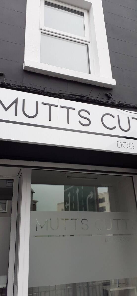 Dog Groomers Enniskillen