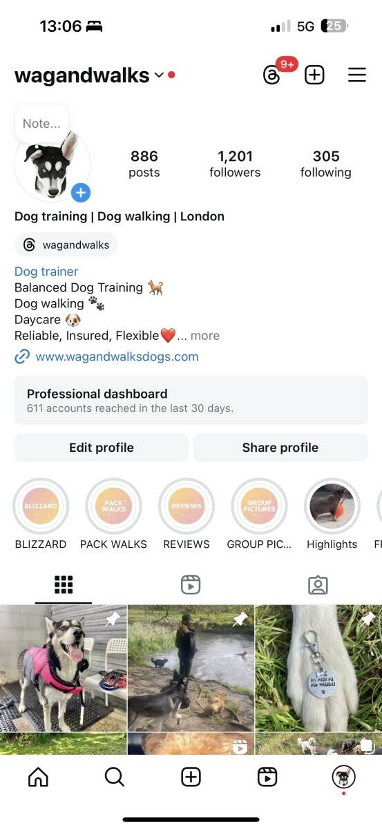 Wagandwalks Profitable Dog Walking & Care Business for Sale Photo 1