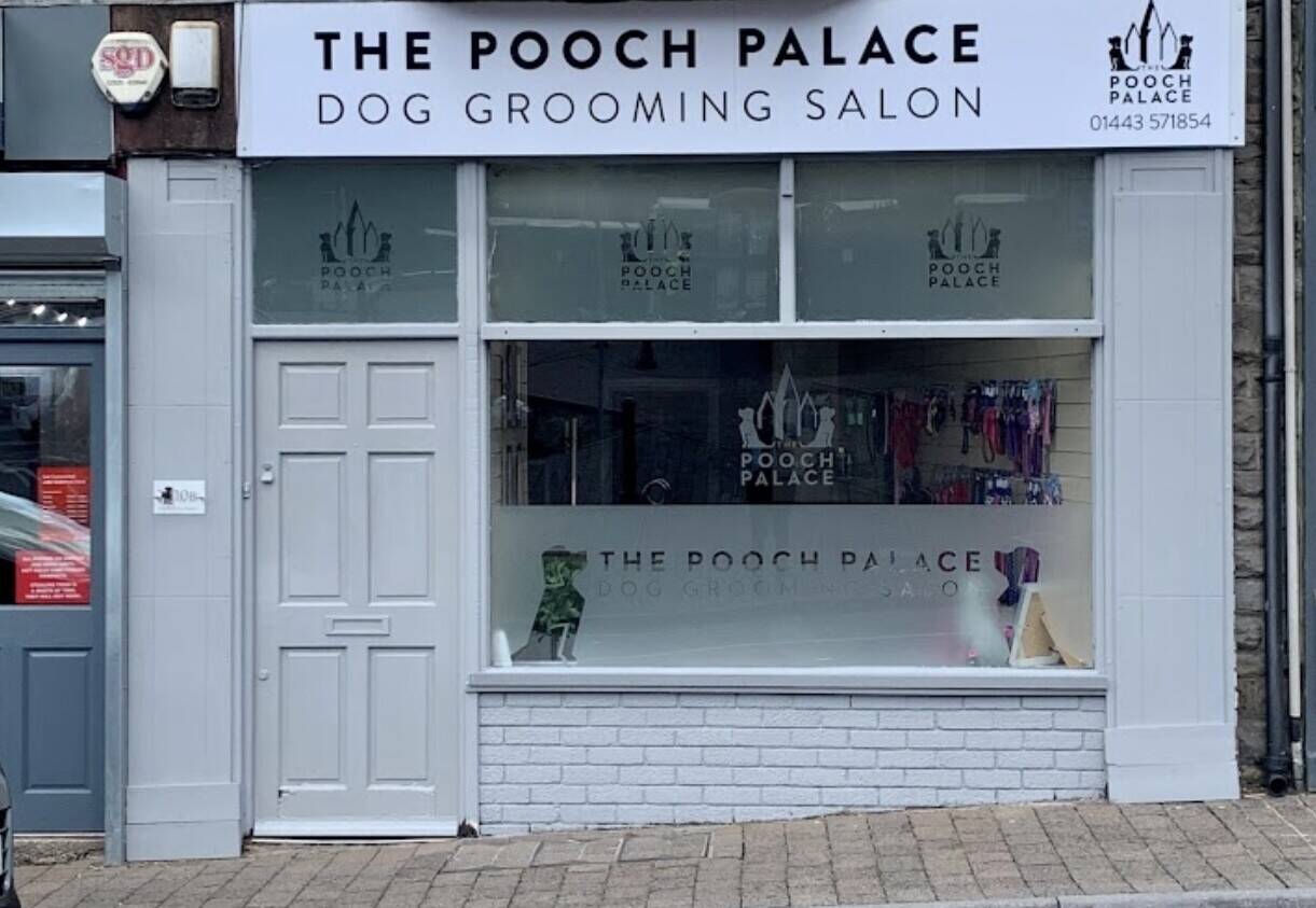 Dog grooming business for sale Tonypandy 