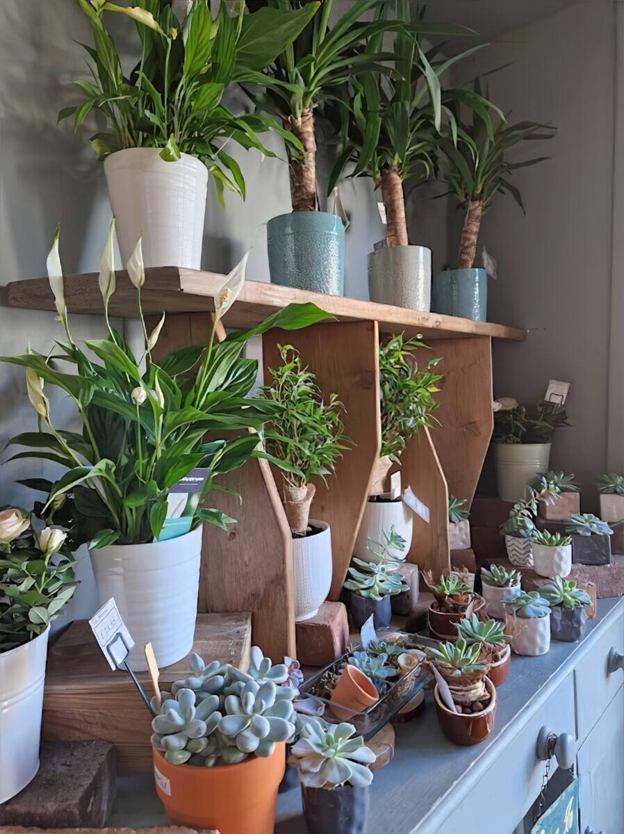Established Flower Shop for Sale in hampton court palace