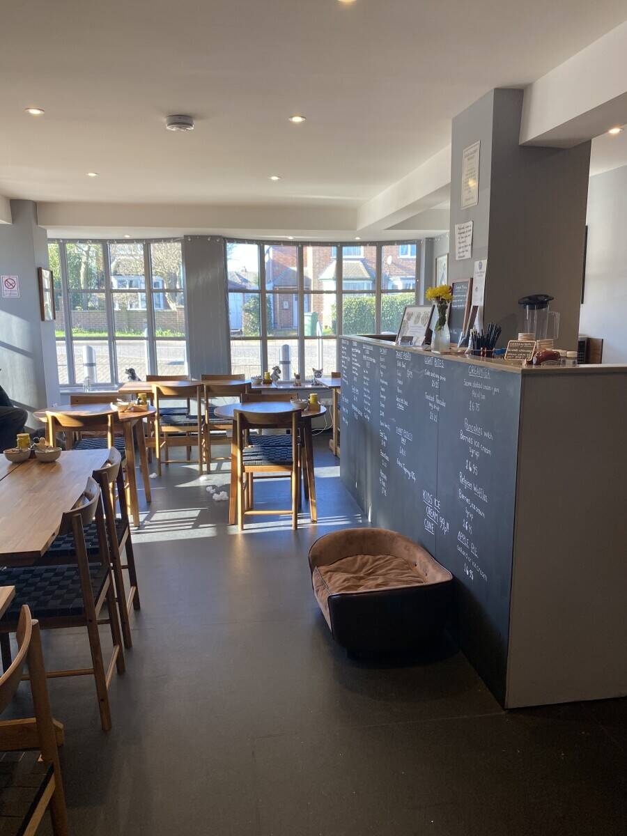 Dog friendly cafe Photo 2