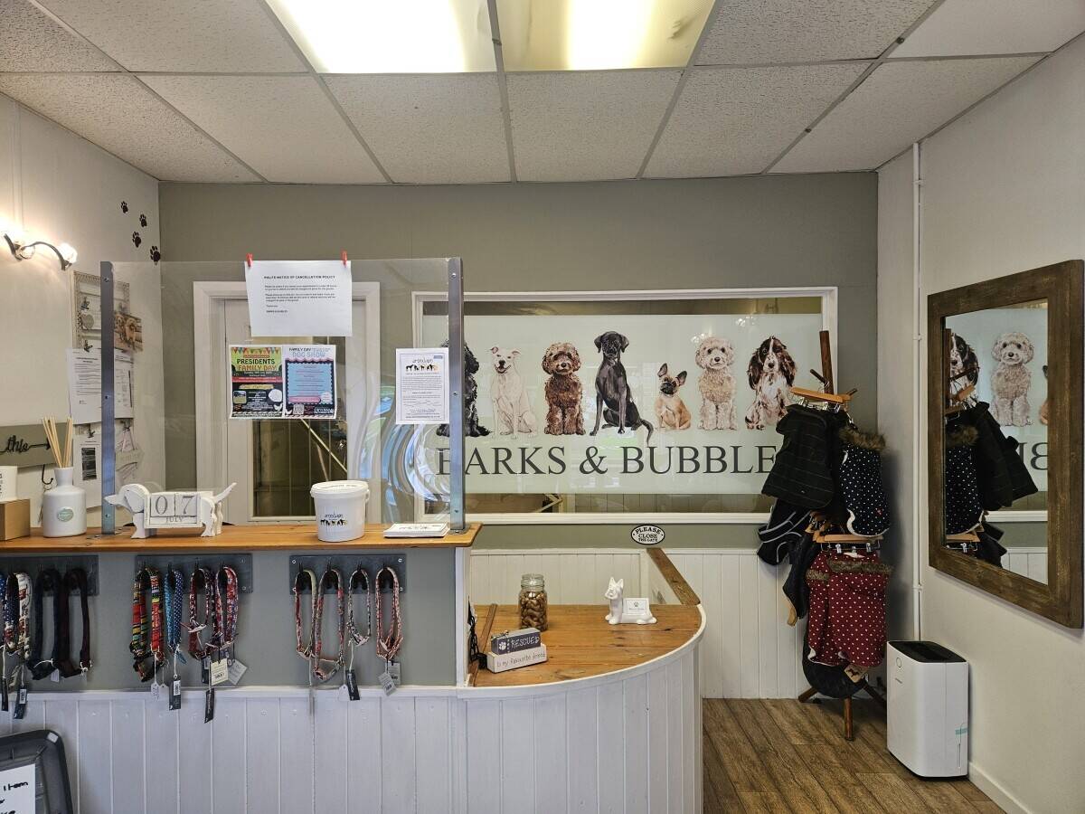 Dog grooming business in Henfield  Photo 1