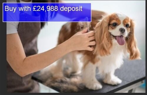 LONG ESTABLISHED DOG GROOMING CENTRE IN STAFFORDSHIRE LONG ESTABLISHED DOG GROOMING CENTRE IN STAFFORDSHIRE