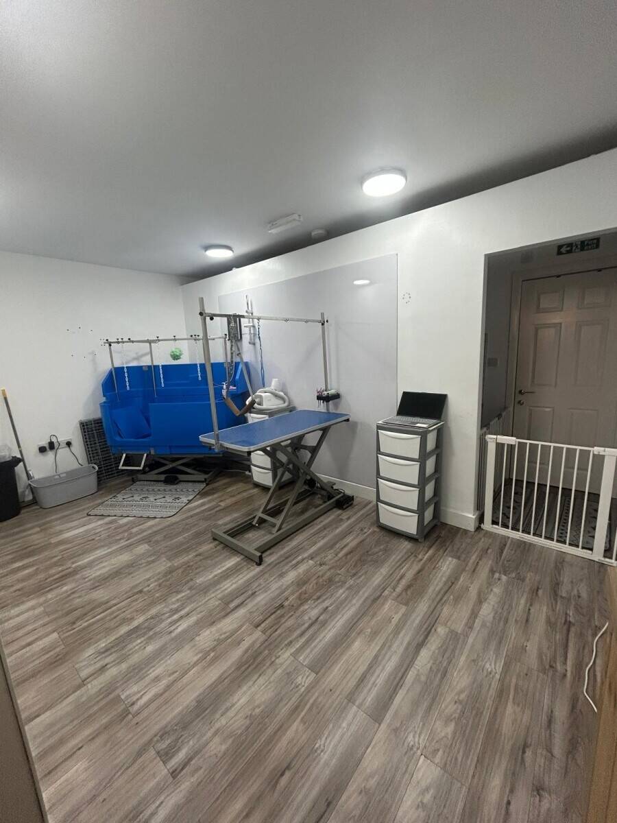 Pets Pantry Dog Boutique and Spa Photo 2
