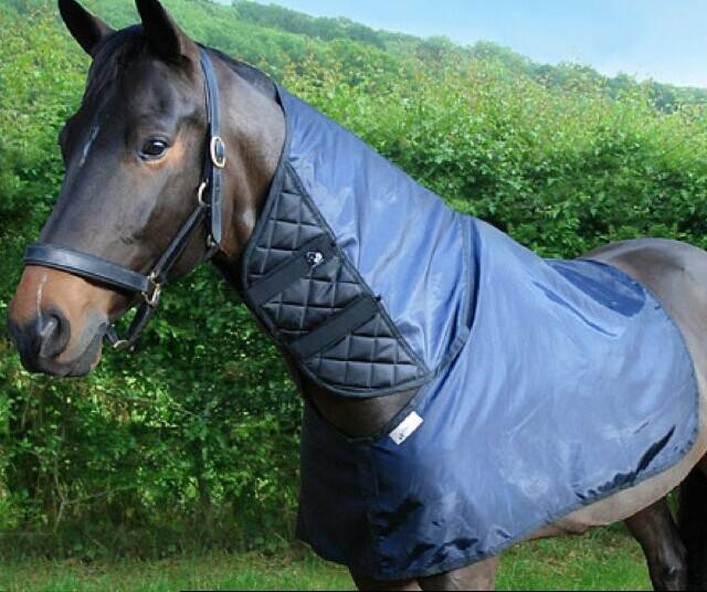Horse & Pony Rugs, Bibs, Maneguards. Manufacture and Sales. Online Equestrian Business. Relocate. Photo 1