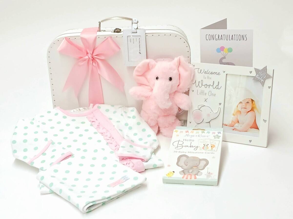 Well Stablished Online Baby Gift Business Fully Relocatable Great First Time Business Ref 1900 Photo 1
