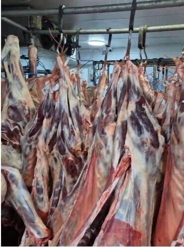 Profitable Butcher & Wholesale Meat Business &ndash; &pound;3.3M  Turnover, Turnkey Operation, Established Butcher Shop with Wholesale Distributio Photo 1